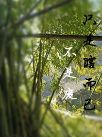 只是瞎而已，不是废人