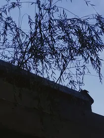 乱世：憾