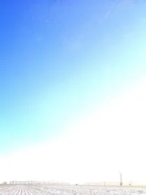 饥饿游戏之雪域
