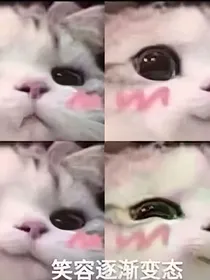 梦的回忆