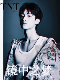 TNT：镜中之梦