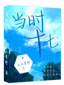 当时十七