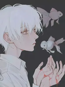光遇：非生灵