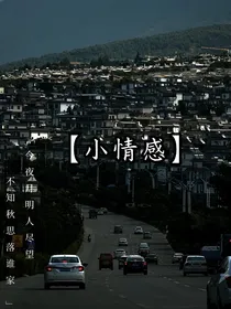 小情感（人生）