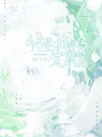 你是我的完结篇