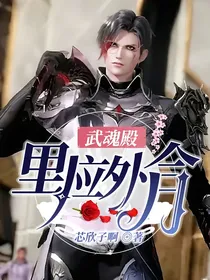 武魂殿——里应外合