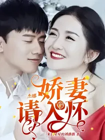 杰娜：娇妻请入怀