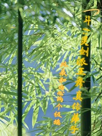 斗1：灵剑派王舞真传大弟子