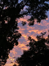 夜色随风起
