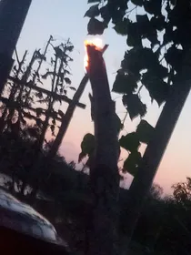 我为你而存在