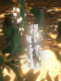 星途倾城轻雾