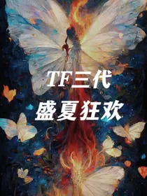 TF三代：盛夏狂欢