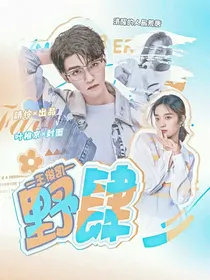 王俊凯：野肆