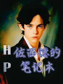 HP：佐西德的笔记本