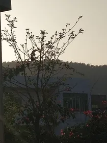以末的春