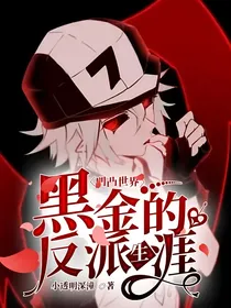 凹凸世界：黑金的反派生涯