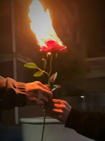 （懿澜）鲁伯特之泪
