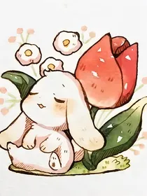 普普通通初中生