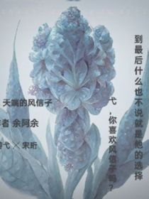 天端的风信子