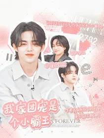 SEVENTEEN：我家团宠是个小霸王