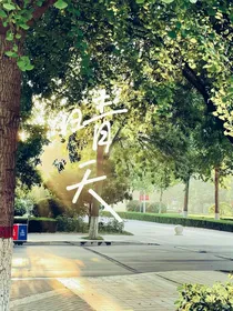 晴天，无雨