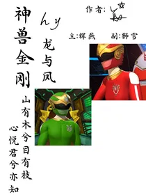 神兽金刚龙与凤
