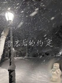 雪落后的约定