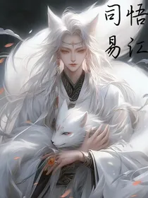 司悟易江
