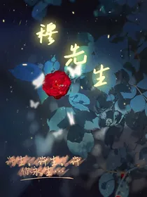 穆先生