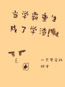 学霸重生手册