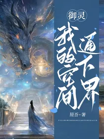 御灵：我的空间通下界