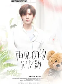 再见我的记忆海