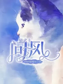 猫武士：问风