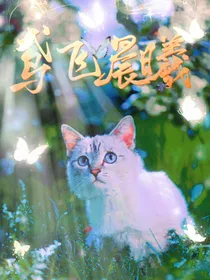 猫武士：鸢飞晨曦