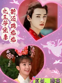 新还珠格格之王爷宠妻