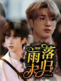 翔霖：雨落未归