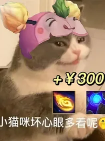 是碧虎不是壁虎