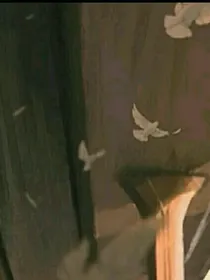 引向