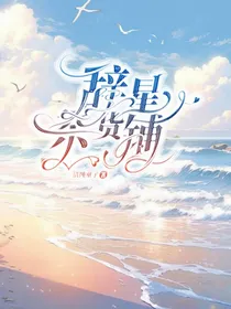 辞星杂货铺