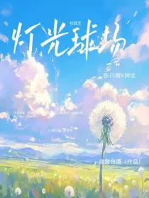 灯光球场