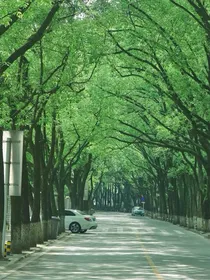 仲夏苦短1