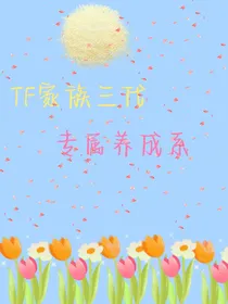 TF家族三代：专属养成系