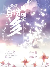 我的身份确实有点多