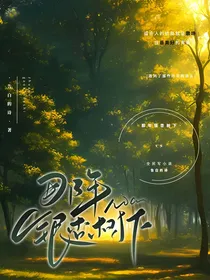 那年银杏树下的约定