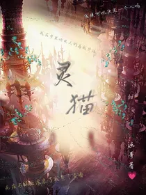 全明星：灵猫