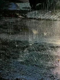 坠梅雨季