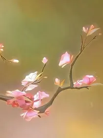 凹凸世界半cp同人文