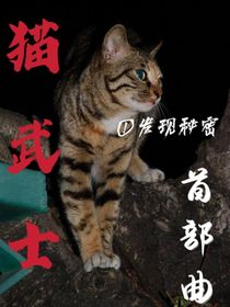 猫武士首部曲……知晓秘密