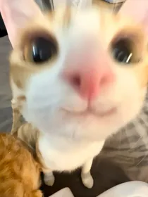 是南也是北