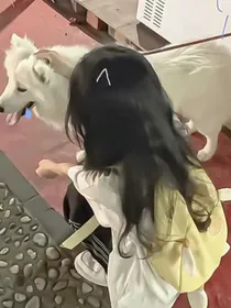 染色的墨